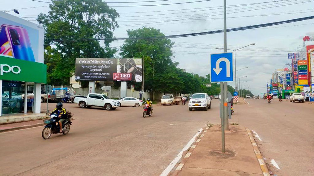 Anti wildlife trafficking billboard situated on a main road in the capital