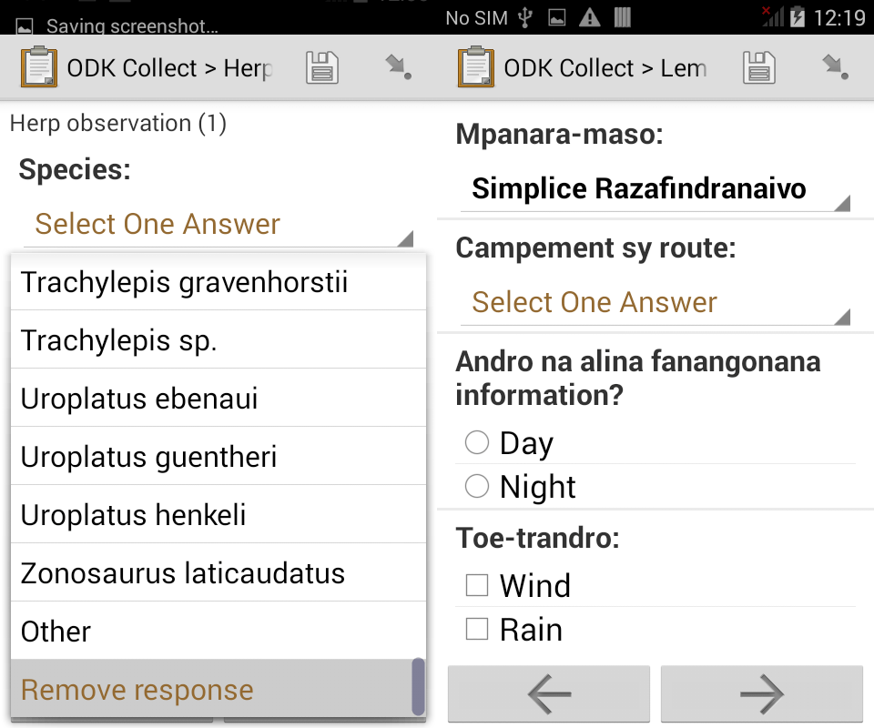Multilingual data entry form