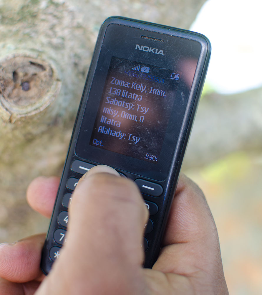 SMS message with a simple 3-day rainfall forecast