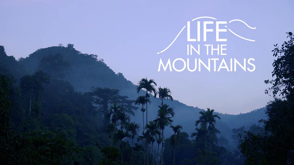 Life in the Mountains